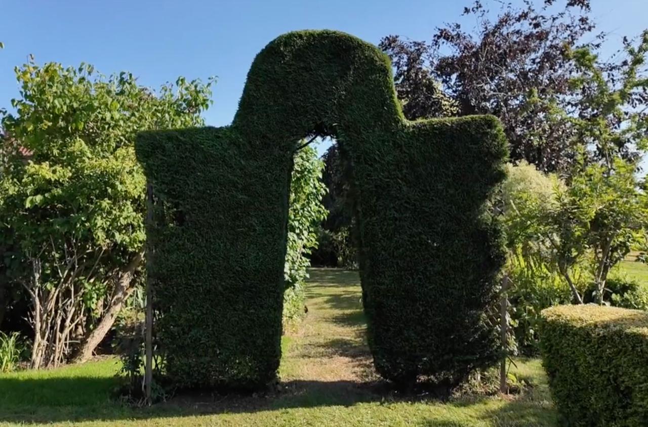 An archway clipped into a tall garden hedge
