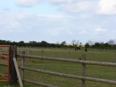 Meadowgate
