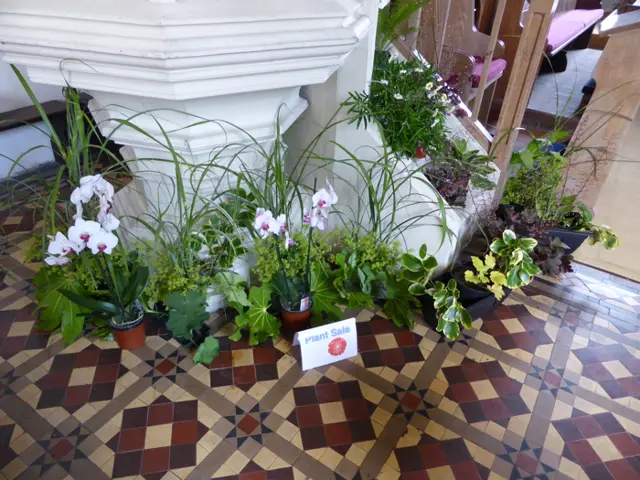 Open Gardens 2016 in St. Mary's Church
